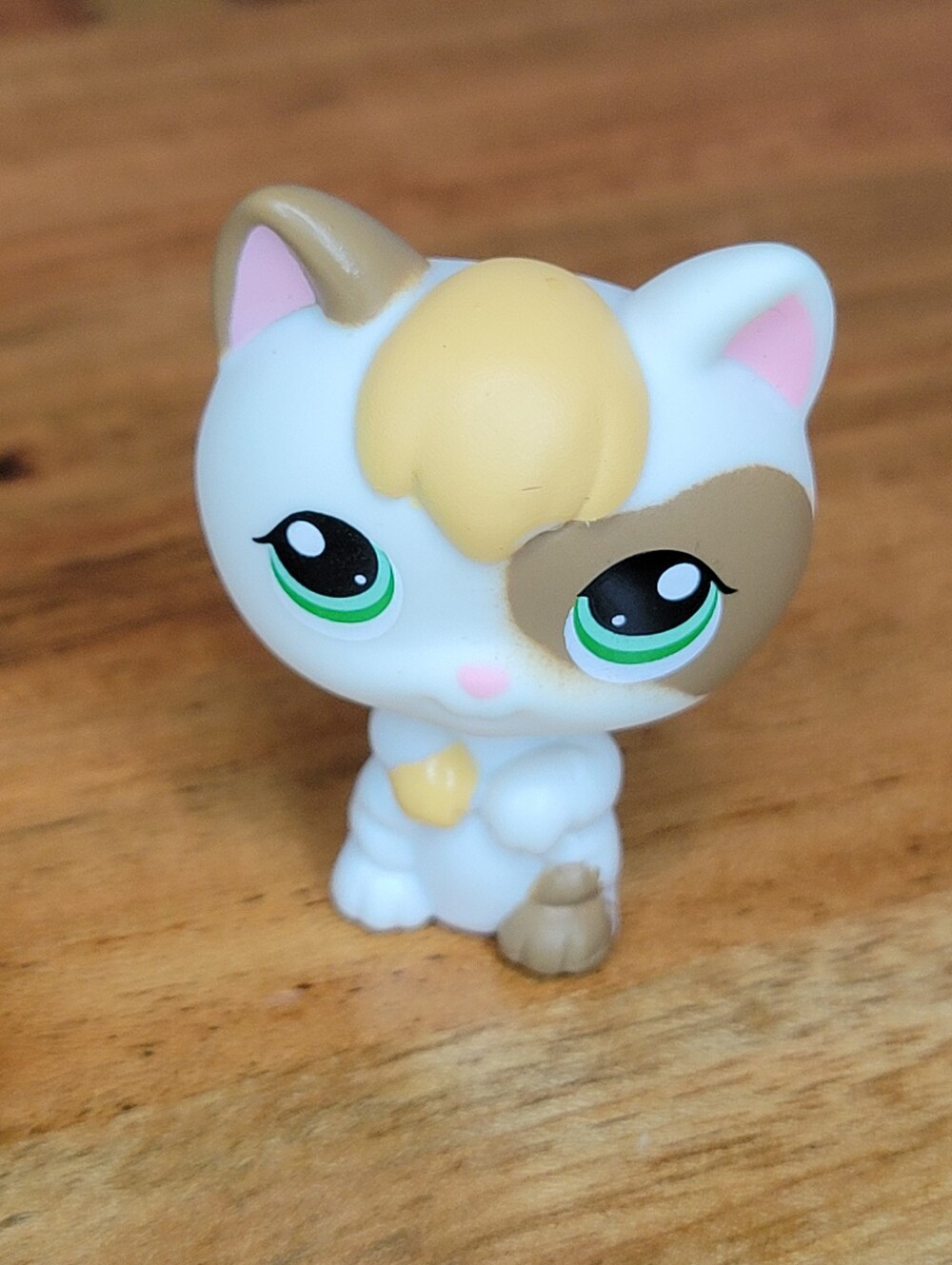 Hasbro Littlest Pet Shop #1461 Calico Kitten Figurine Toy 2009